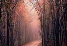 乐鱼体育线上网站-迷雾中的绿茵场：当国米在德甲遭遇葡萄牙，一场引爆全球的悬疑大戏