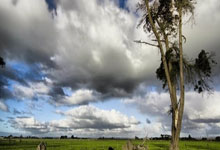 乐鱼登录-洋枪大炮VS技术大师：亚洲联赛外援生态颠覆战